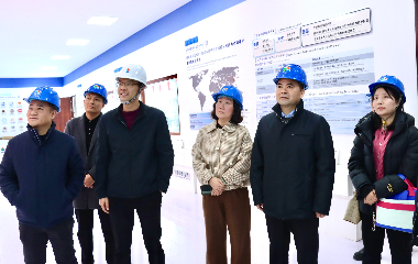陽(yáng)光電源股份、宜賓智能制造行業(yè)協(xié)會(huì)、宜賓安徽商會(huì)調(diào)研遠(yuǎn)東電纜（宜賓）