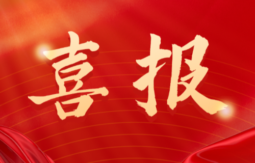 喜報(bào)！遠(yuǎn)東電纜（宜賓）胡清平榮登2025年第一批擬認(rèn)定主導(dǎo)產(chǎn)業(yè)企業(yè)人才名單